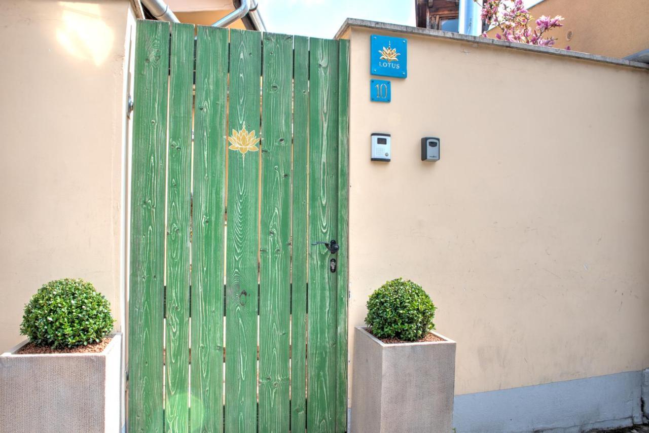 Lotus Apartment Szentendre Exteriör bild